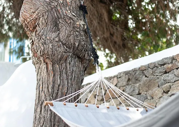 Villa Spitarona Town House - Largest In The Center *