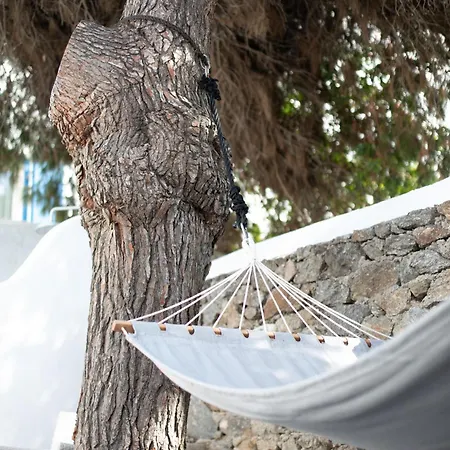 Villa Spitarona Town House - Largest In The Center *